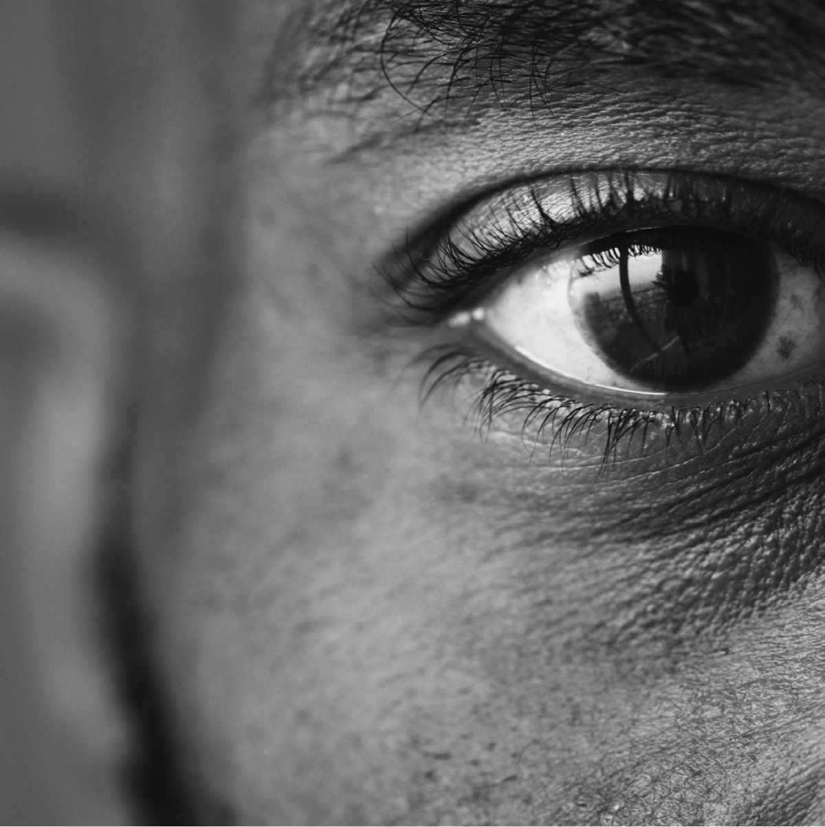 Featured image for “Spotlight on: The importance of historically informed transport research”